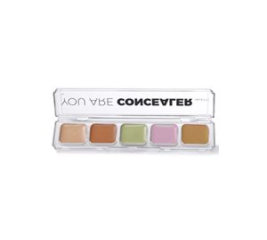 Beauty Basket - Corrector palette tres