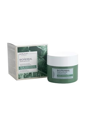 Moisturising day cream POSTQUAM